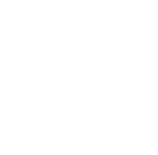 github invertocat logo